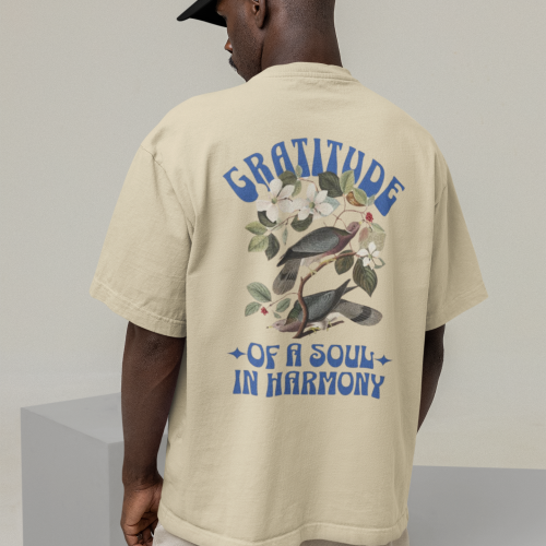 Soul Harmony Standard Oversized T-shirt